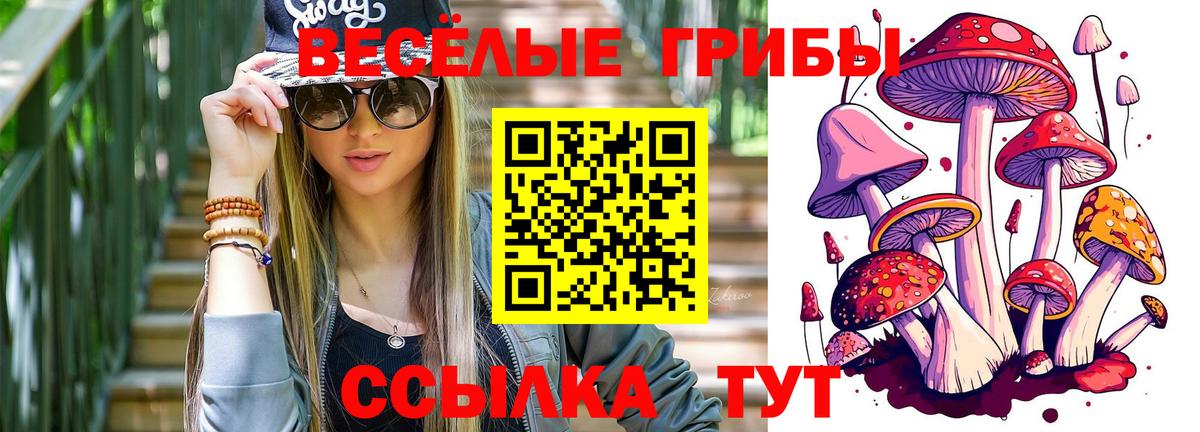 Орехово-Зуево  Галлюциногенные грибы мицелий  Вход с VPN 