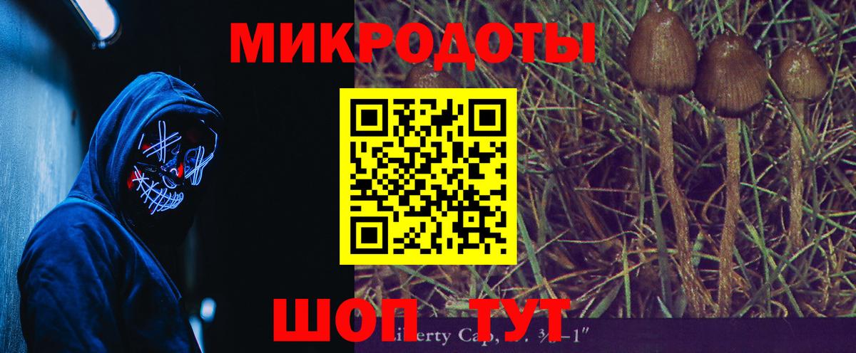 Псилоцибиновые грибы Psilocybine cubensis Орехово-Зуево